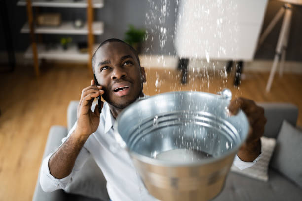 Best Flood damage cleanup  in Westminster, LA