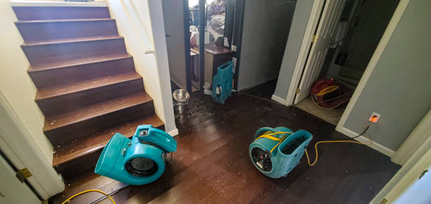 Best Carpet water damage restoration  in Westminster, LA
