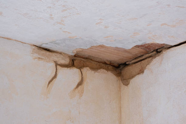 Best 24-hour water damage restoration  in Westminster, LA