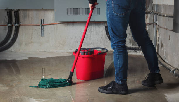 Best Commercial water damage restoration  in Westminster, LA