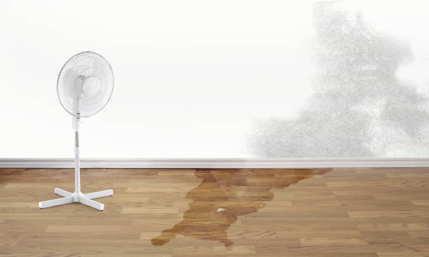  Westminster, LA Water damage restoration Pros