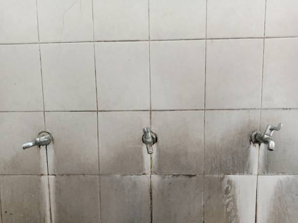 Best Water damage restoration cost  in Westminster, LA